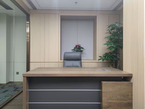 國貿(mào)cbd 國貿(mào)三期 地標(biāo)建筑 全新裝修帶家具 對(duì)電梯